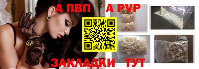 шишки Донской