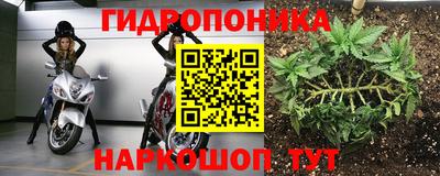 ешки Донецк