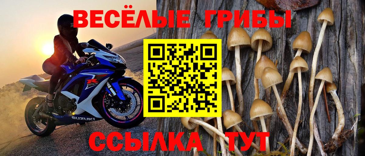 Псилоцибиновые грибы мицелий Малгобек