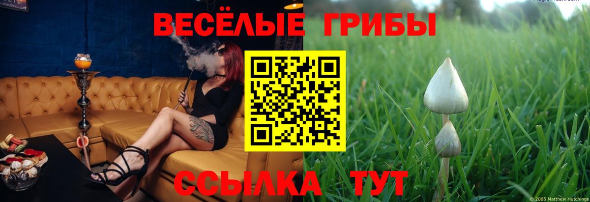 Галлюциногенные грибы прущие грибы  Вход с VPN  Псилоцибиновые грибы Magic Shrooms  Малгобек 
