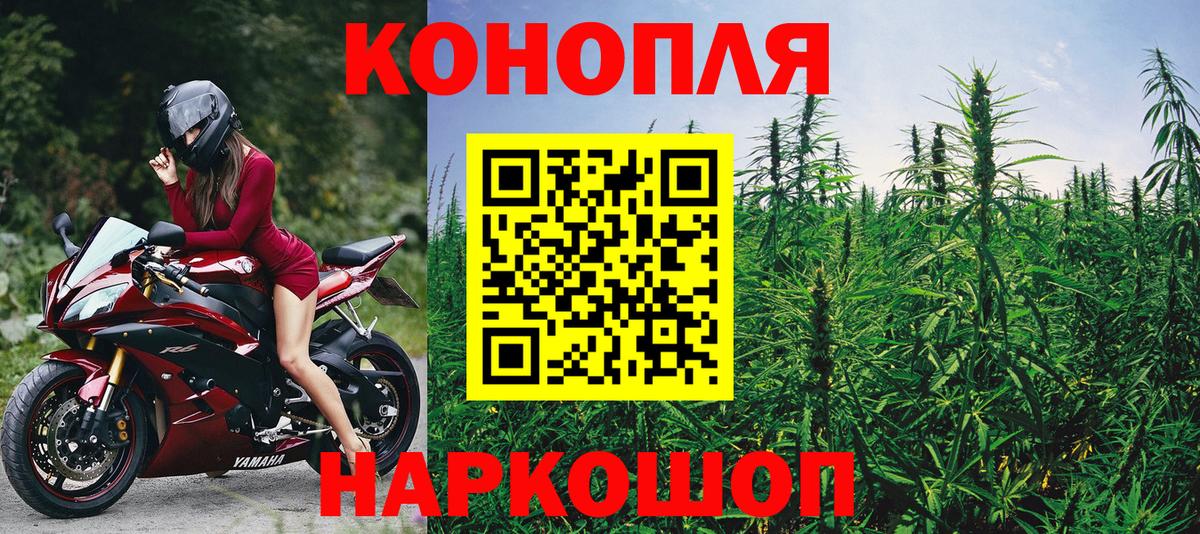 Шишки марихуана план Малгобек